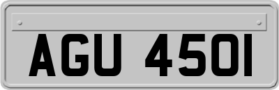 AGU4501