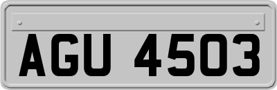 AGU4503