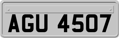 AGU4507