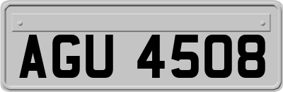AGU4508