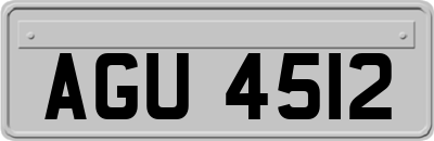 AGU4512
