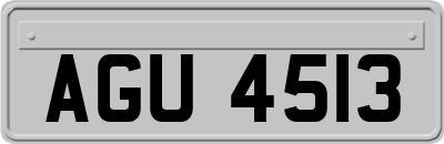 AGU4513
