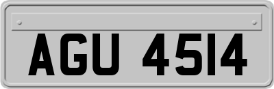 AGU4514