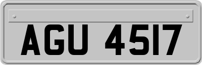 AGU4517
