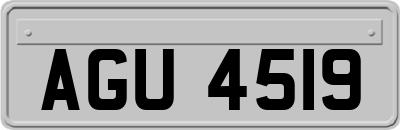 AGU4519