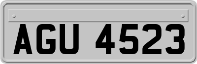 AGU4523