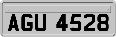 AGU4528