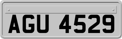 AGU4529
