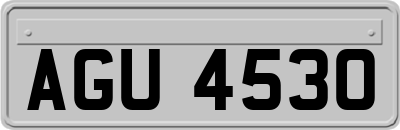 AGU4530