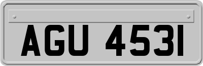 AGU4531