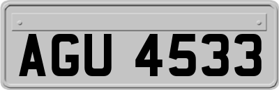 AGU4533