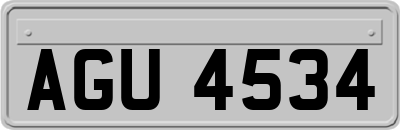 AGU4534