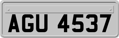 AGU4537