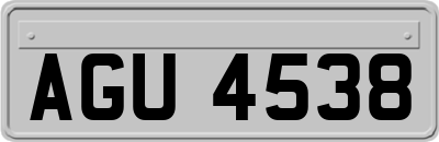 AGU4538