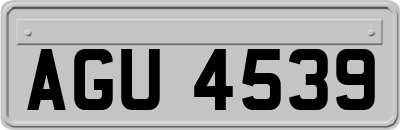 AGU4539