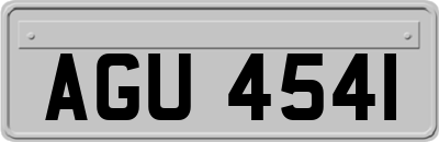 AGU4541