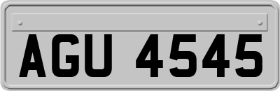 AGU4545