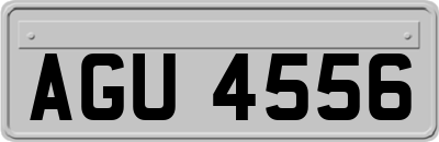 AGU4556