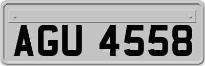 AGU4558