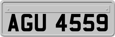 AGU4559