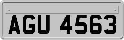 AGU4563