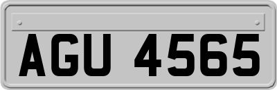 AGU4565