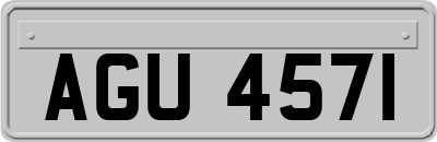 AGU4571