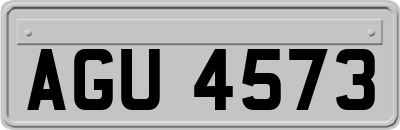 AGU4573