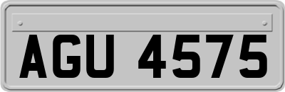 AGU4575