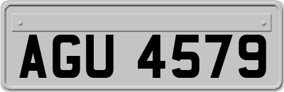 AGU4579