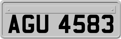 AGU4583