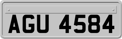 AGU4584