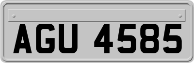 AGU4585