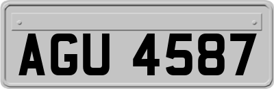AGU4587