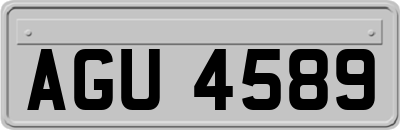 AGU4589