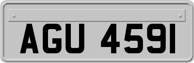 AGU4591