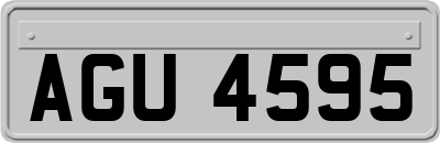 AGU4595
