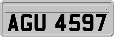 AGU4597