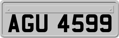AGU4599