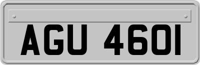 AGU4601