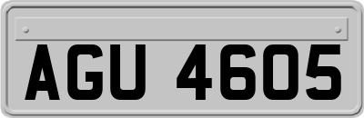 AGU4605