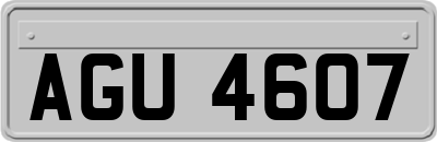 AGU4607