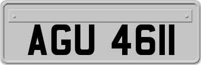 AGU4611