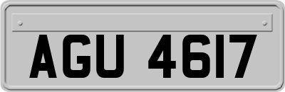 AGU4617