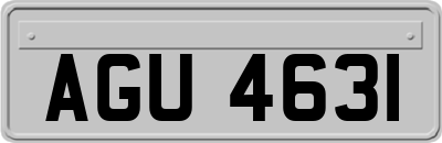 AGU4631