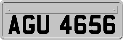 AGU4656