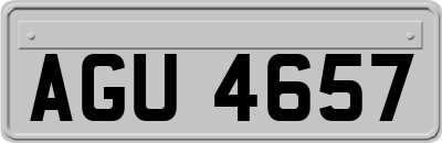 AGU4657