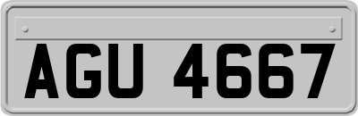 AGU4667