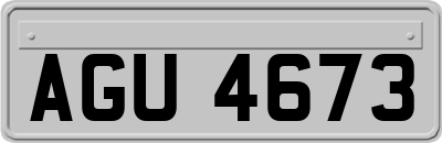 AGU4673