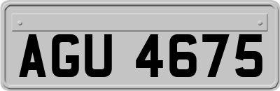 AGU4675
